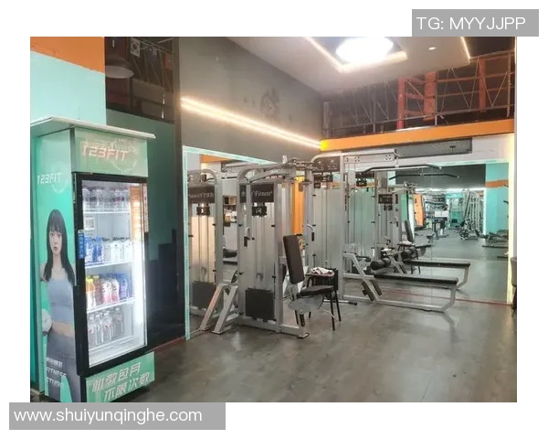 健身器材批发市场的最佳选择与推荐地点一览